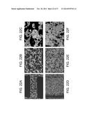 POROUS CERAMIC ARTICLE AND METHOD OF MANUFACTURING THE SAME diagram and image