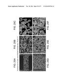 POROUS CERAMIC ARTICLE AND METHOD OF MANUFACTURING THE SAME diagram and image