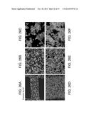 POROUS CERAMIC ARTICLE AND METHOD OF MANUFACTURING THE SAME diagram and image