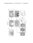 APPARATUS AND METHOD FOR RECOGNIZING PROXIMITY MOTION USING  SENSORS diagram and image