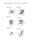 Display Device and Electronic Device diagram and image