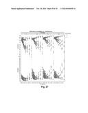 COLORED ELECTROPHORETIC DISPLAYS diagram and image