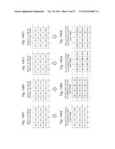 PROJECTION DISPLAY APPARATUS diagram and image