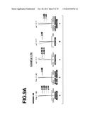 IMAGING LENS AND IMAGING APPARATUS INCLUDING THE SAME diagram and image