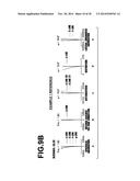 IMAGING LENS AND IMAGING APPARATUS INCLUDING THE SAME diagram and image