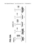 IMAGING LENS AND IMAGING APPARATUS INCLUDING THE SAME diagram and image