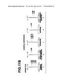 IMAGING LENS AND IMAGING APPARATUS INCLUDING THE SAME diagram and image