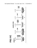 IMAGING LENS AND IMAGING APPARATUS INCLUDING THE SAME diagram and image