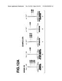 IMAGING LENS AND IMAGING APPARATUS INCLUDING THE SAME diagram and image