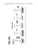 IMAGING LENS AND IMAGING APPARATUS INCLUDING THE SAME diagram and image