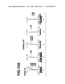 IMAGING LENS AND IMAGING APPARATUS INCLUDING THE SAME diagram and image