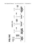 IMAGING LENS AND IMAGING APPARATUS INCLUDING THE SAME diagram and image