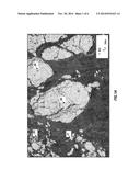 METHOD FOR TRACKING AND FORECASTING MARINE ICE BODIES diagram and image