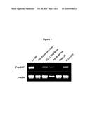 PROVASOPRESSIN ANTAGONISTS AND USES THEREOF diagram and image