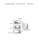 METHODS FOR PRODUCING RETINAL TISSUE AND RETINA-RELATED CELL diagram and image