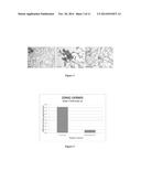 REGENERATIVE TISSUE MATRIX diagram and image