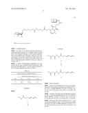 CONJUGATION OF BIOMOLECULES USING DIELS-ALDER CYCLOADDITION diagram and image