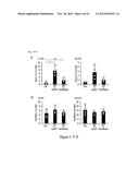 HUMAN-DERIVED BACTERIA THAT INDUCE PROLIFERATION OR ACCUMULATION OF     REGULATORY T CELLS diagram and image