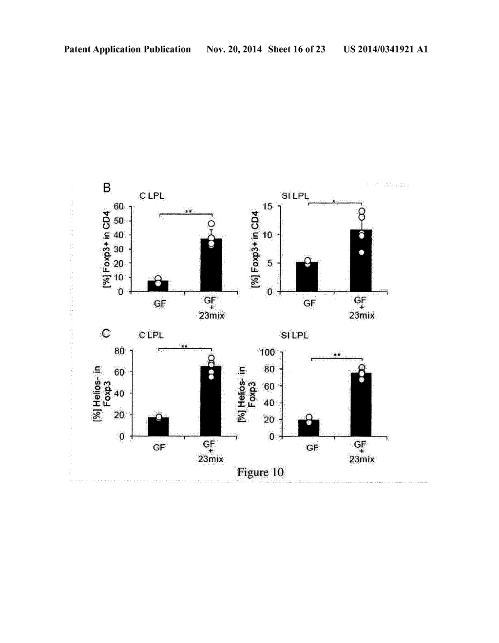 HUMAN-DERIVED BACTERIA THAT INDUCE PROLIFERATION OR ACCUMULATION OF     REGULATORY T CELLS - diagram, schematic, and image 17