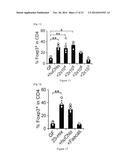 HUMAN-DERIVED BACTERIA THAT INDUCE PROLIFERATION OR ACCUMULATION OF     REGULATORY T CELLS diagram and image