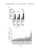 HUMAN-DERIVED BACTERIA THAT INDUCE PROLIFERATION OR ACCUMULATION OF     REGULATORY T CELLS diagram and image