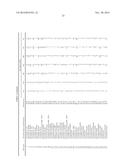 HUMAN-DERIVED BACTERIA THAT INDUCE PROLIFERATION OR ACCUMULATION OF     REGULATORY T CELLS diagram and image