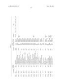 HUMAN-DERIVED BACTERIA THAT INDUCE PROLIFERATION OR ACCUMULATION OF     REGULATORY T CELLS diagram and image