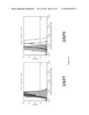 NANOPARTICLE-PEPTIDE COMPOSITIONS diagram and image