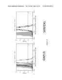 NANOPARTICLE-PEPTIDE COMPOSITIONS diagram and image