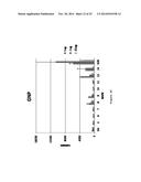 NANOPARTICLE-PEPTIDE COMPOSITIONS diagram and image