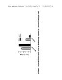 VACCINE COMPOSITION CONTAINING SYNTHETIC ADJUVANT diagram and image