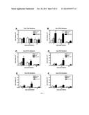 TREATMENT OF AMD USING AAV SFLT-1 diagram and image