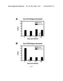 TREATMENT OF AMD USING AAV SFLT-1 diagram and image