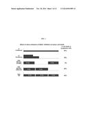 FORMULATIONS OF HISTONE DEACETYLASE INHIBITOR IN COMBINATION WITH     BENDAMUSTINE AND USES THEREOF diagram and image