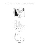 ENZYMATIC SYNTHESIS OF POLY(AMINE-CO-ESTERS) AND METHODS OF USE THEREOF     FOR GENE DELIVERY diagram and image