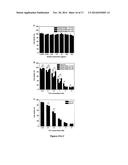 ENZYMATIC SYNTHESIS OF POLY(AMINE-CO-ESTERS) AND METHODS OF USE THEREOF     FOR GENE DELIVERY diagram and image