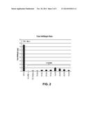 METHODS OF STERILIZING FETAL SUPPORT TISSUES diagram and image