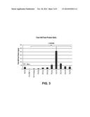 METHODS OF STERILIZING FETAL SUPPORT TISSUES diagram and image