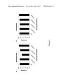 Amniotic Membrane Powder and Methods of Making diagram and image