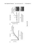 Amniotic Membrane Powder and Methods of Making diagram and image