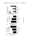 Amniotic Membrane Powder and Methods of Making diagram and image