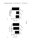 Amniotic Membrane Powder and Methods of Making diagram and image