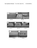 Waterproof Coating with Nanoscopic/Microscopic Features and Methods of     Making Same diagram and image