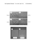 Waterproof Coating with Nanoscopic/Microscopic Features and Methods of     Making Same diagram and image