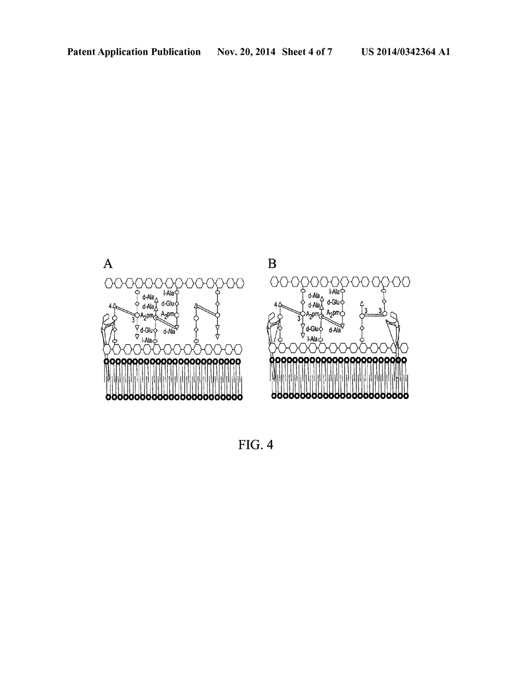 METHODS FOR TREATMENT OF BACTERIAL INFECTIONS - diagram, schematic, and image 05