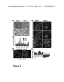 HAPLOID CELLS diagram and image