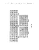 TRANSGENIC NON-HUMAN ANIMAL MODEL FOR ACCELERATED AGING AND/OR AGE-RELATED     SYMPTOM, AND USE THEREOF diagram and image