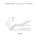 TRANSGENIC NON-HUMAN ANIMAL MODEL FOR ACCELERATED AGING AND/OR AGE-RELATED     SYMPTOM, AND USE THEREOF diagram and image