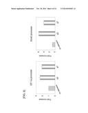 PROMOTER DERIVED FROM HUMAN GENE diagram and image