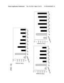 PROMOTER DERIVED FROM HUMAN GENE diagram and image